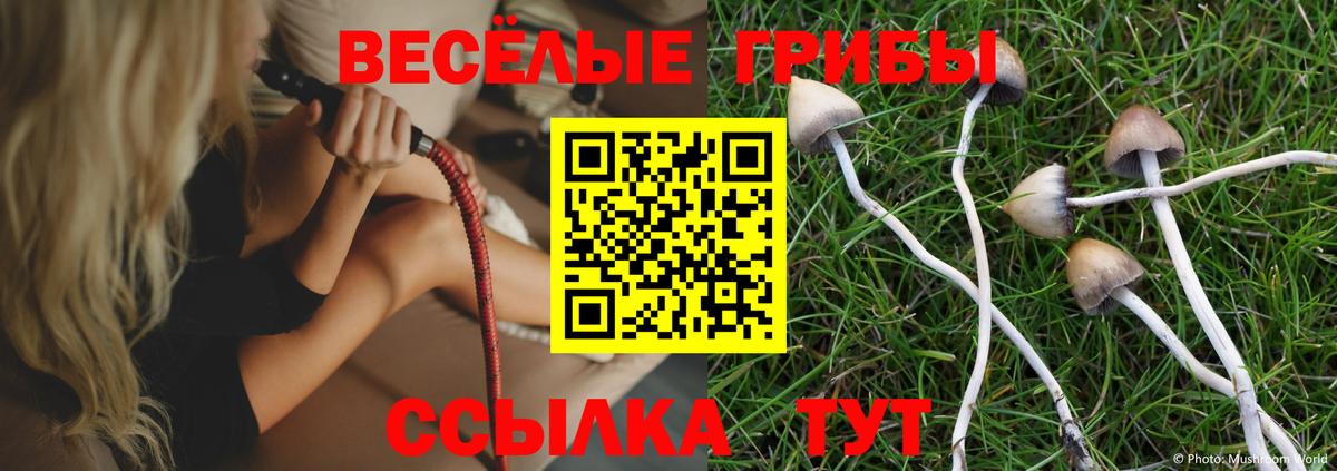 Псилоцибиновые грибы мухоморы  Вход с VPN  купить наркотик  Острогожск 